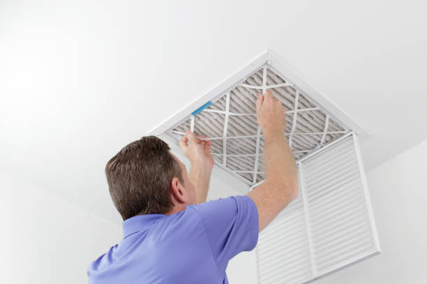 Best Air Duct Cleaning Near Me  in Royal Oak, MI